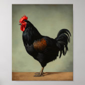 Impression d'art de poule Australorp, Affiche, Ois (Devant)