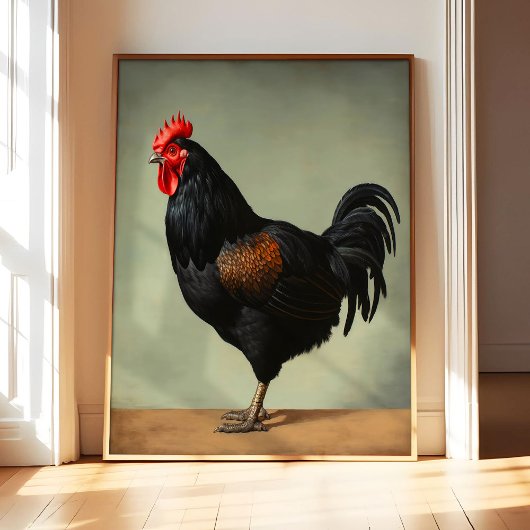 Impression d'art de poule Australorp, Affiche, Ois