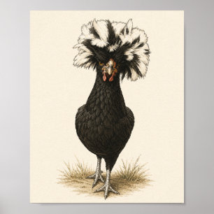 Impression d'art de poule polonaise, Ki vintage de