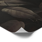 Impression d'art de serpent botanique sombre Fleur (Coin)