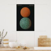 Impression d'art de sphère géométrique Moderne Min (Cuisine)