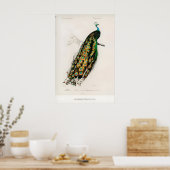 Impression d'art d'exposition Charles d'Orbigny In (Cuisine)