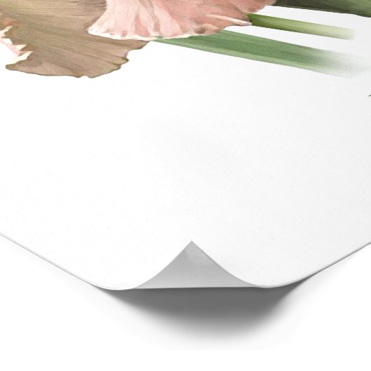 Impression d'art d'origine Blush Pink Iris (Coin)