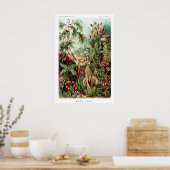 Impression d'art fin mat de botanique victorienne. (Cuisine)