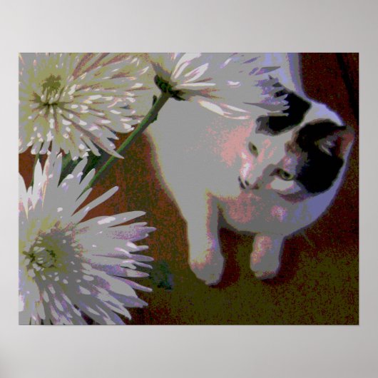 Impression d'art fine Chat avec Chrysanthèmes (Devant)