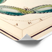 Impression d'art fine de la constellation du Scorp (Coin)