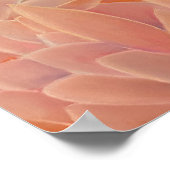 Impression d'art Flamingo Rose | Décoration murale (Coin)