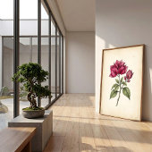 Impression d'art Fleur de Bougainvillée