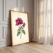 Impression d'art Fleur de Bougainvillée