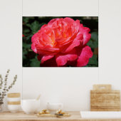 Impression d'art floral de jardin de fleurs roses (Cuisine)
