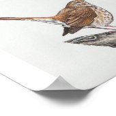 Impression d'art Hermit Thrush (Coin)