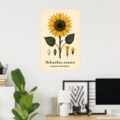 Impression d'art mat de plante de tournesol commun (Bureau à domicile)