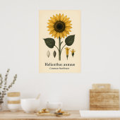 Impression d'art mat de plante de tournesol commun (Cuisine)