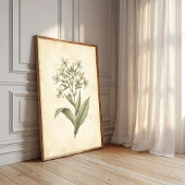 Impression d'art mural botanique de tabac en fleur