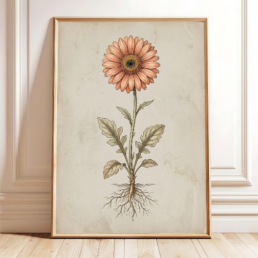 Impression d'art mural de gerbera marguerite vinta