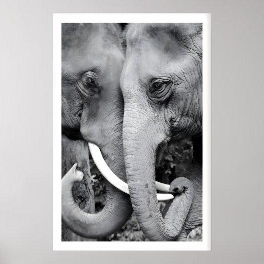 Impression d'art mural d'éléphant en gros plan noi (Devant)