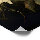 Impression d'art mural papillon botanique, Dark Ac (Coin)