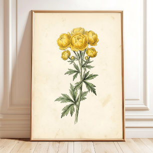 Impression d'art mural sur toile botanique vintage