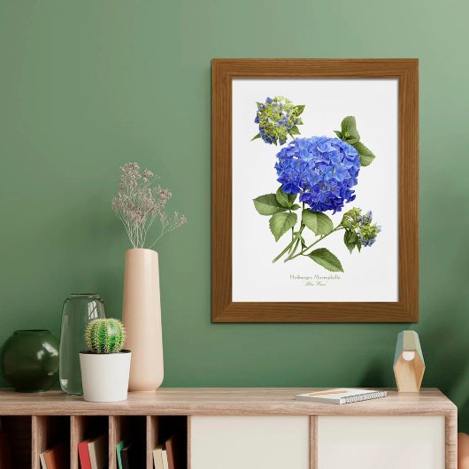 Impression d'art originale Hydrangea Bleue