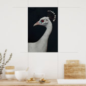 Impression d'art Paon Blanc, Portrait d'animal Ois (Cuisine)