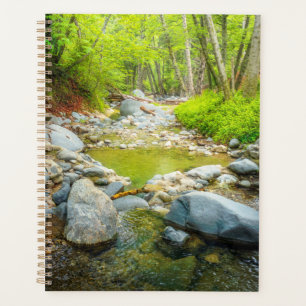 Impression d'art photo de paysage naturel de Fores