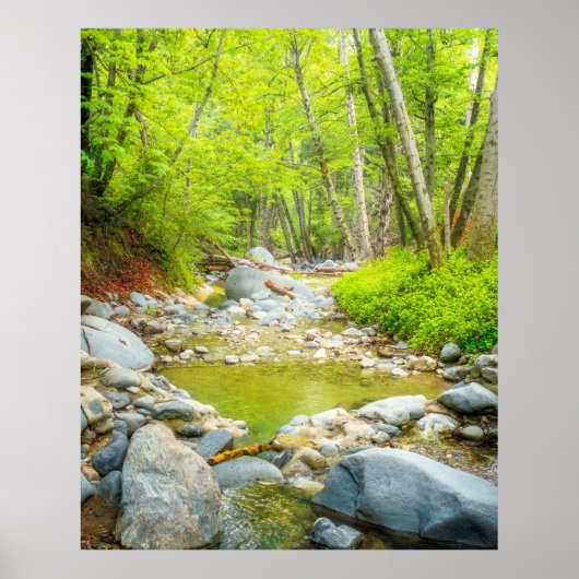 Impression d'art photo de paysage naturel de Fores (Devant)