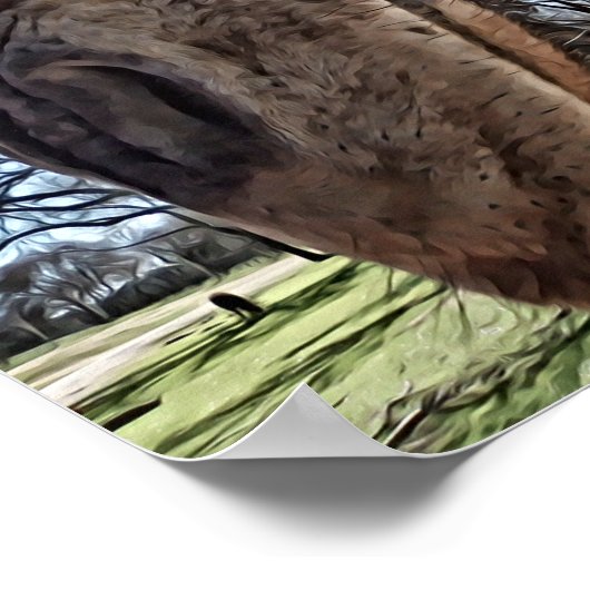 Impression d'art photographique Curious Giraffe (Coin)