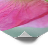 Impression d'art photographique de fleur de pavot  (Coin)