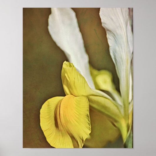 Impression d'art photographique de fleur d'iris ja (Devant)