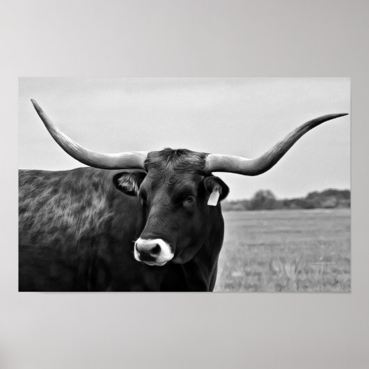 Impression d'art photographique de vache Longhorn (Devant)