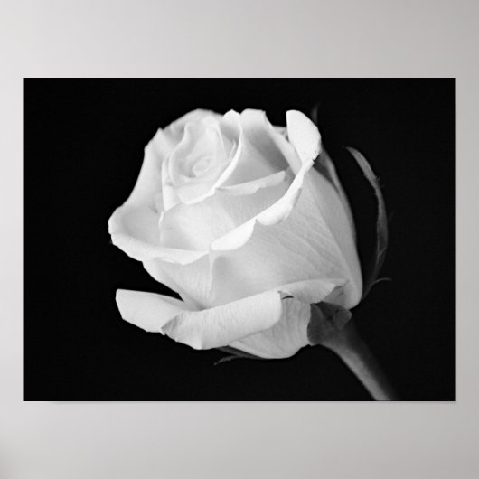 Impression d'art photographique en noir et blanc R (Devant)
