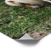 Impression d'art photographique Pretty Pony de rêv (Coin)