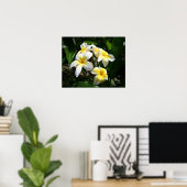 Impression d'art Plumeria blanche (Bureau à domicile)