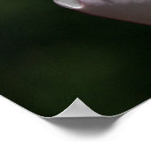 Impression d'art Plumeria rose (Coin)