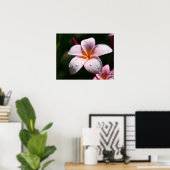 Impression d'art Plumeria rose (Bureau à domicile)