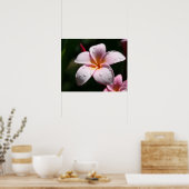 Impression d'art Plumeria rose (Cuisine)