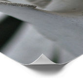 Impression d'art : Vertebrae de baleine (Coin)