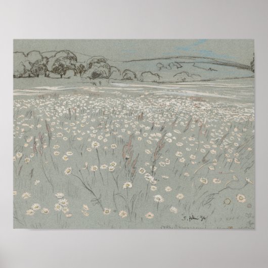 Impression d'art vintage de champ de fleurs blanch (Devant)