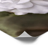 Impression d'arture de l'Ecriture Rose Blanche Esp (Coin)