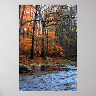 Impression d'automne au ruisseau #154