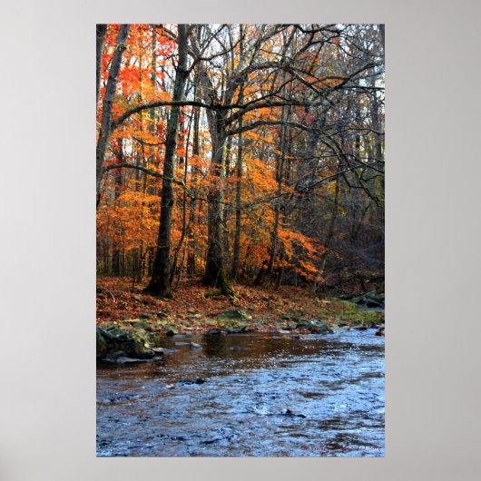Impression d'automne au ruisseau #154 (Devant)