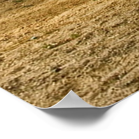 Impression de 300 miles de désert (Coin)