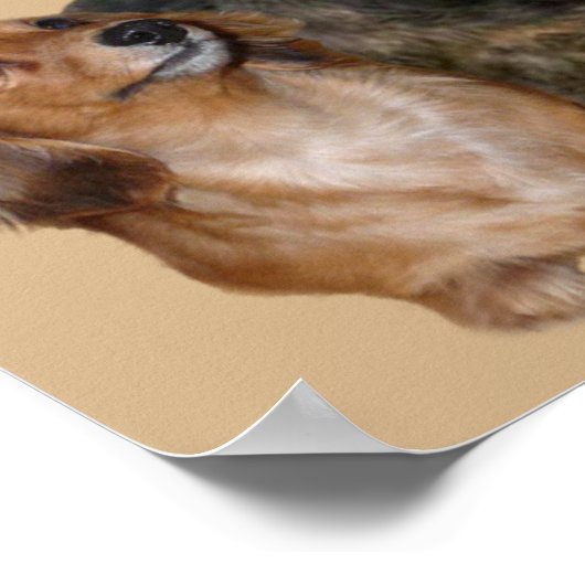 Impression de bande Dachshund (Coin)