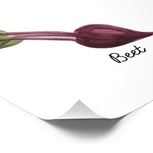 Impression de betterave aquarelle (Coin)