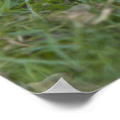 Impression de blocs (Coin)