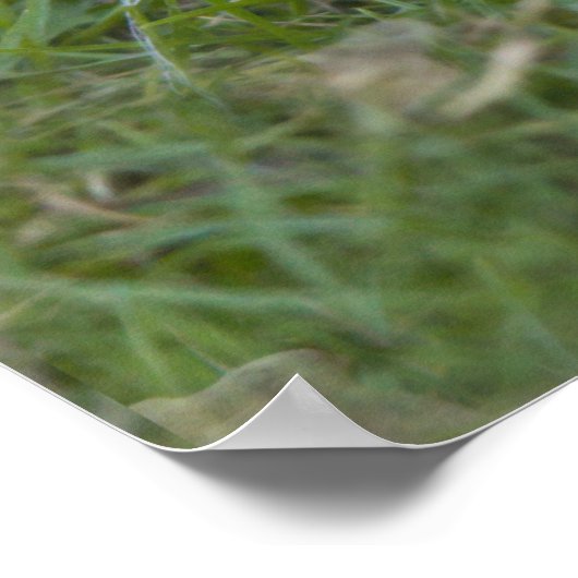 Impression de blocs (Coin)