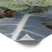 Impression de brocoli (Coin)