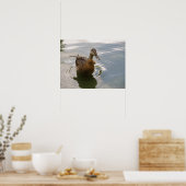 Impression de canard assis (Cuisine)