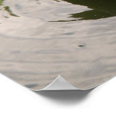 Impression de canard assis (Coin)