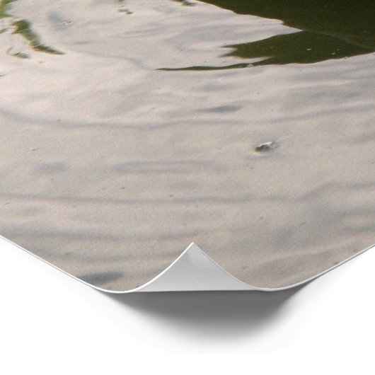 Impression de canard assis (Coin)